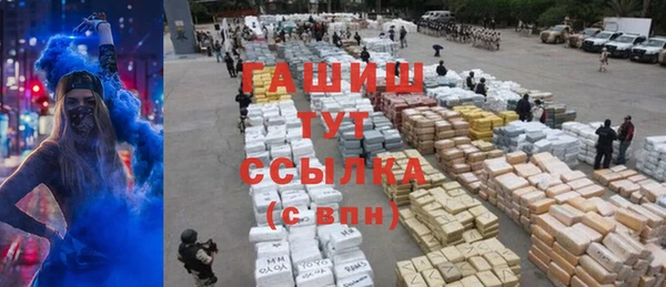 индика Абинск