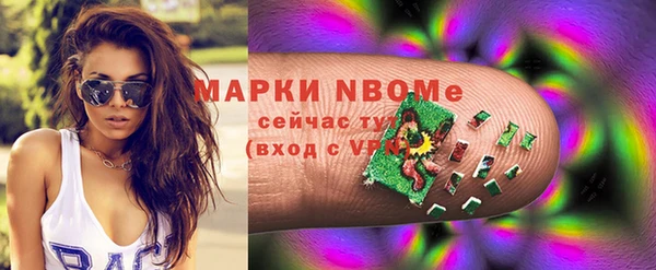 индика Абинск