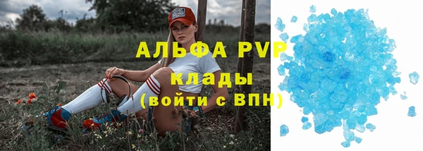 индика Абинск